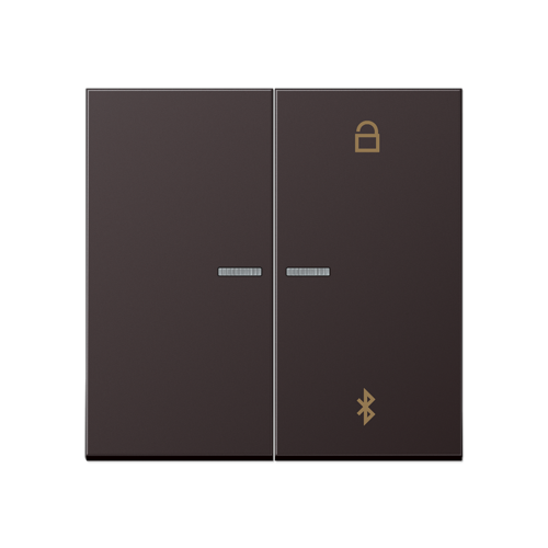  Dark Таймер универсальный Bluetooth Jung LS серия AL1751BTD