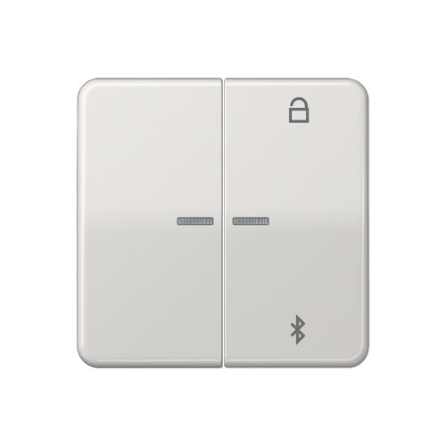  CD 500/CD plus Таймер универсальный Bluetooth светло-серый Jung CD1751BTLG