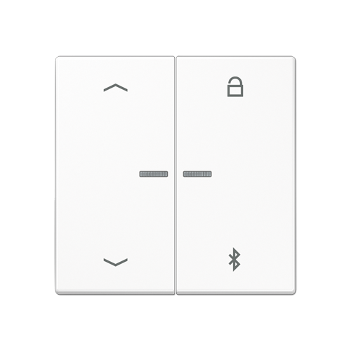  белый Таймер универсальный Bluetooth «стрелки» Jung LS серия LS1751PBTWW