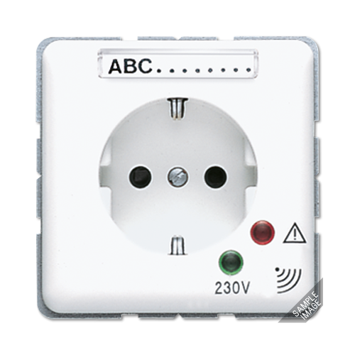  SCHUKO-розетка 16А 250V~ с защитой от перенапряжения светло-серая Jung CD521KINAUFLG