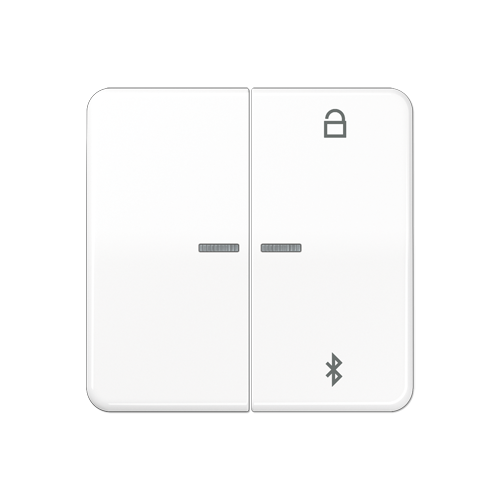  CD 500/CD plus Таймер универсальный Bluetooth белый Jung CD1751BTWW