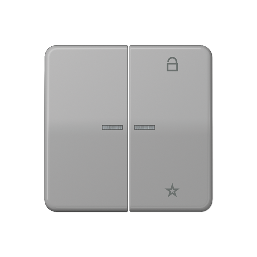  CD 500/CD plus Центральная плата универсальная серый Jung CD1701GR