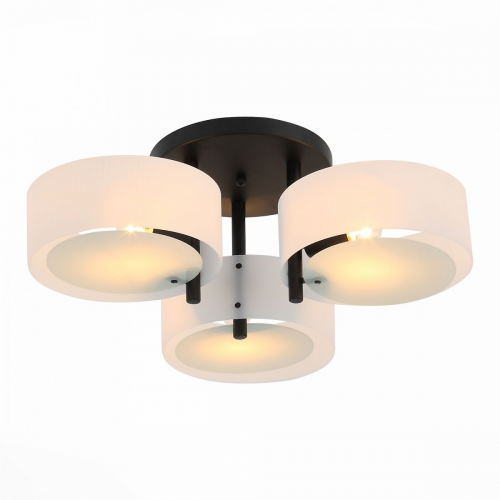 Люстра потолочная ST Luce Foresta SL483.402.03