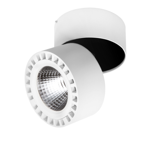 Потолочный светильник Lightstar Forte 381363