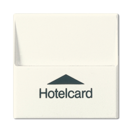 Накладка карт.выкл., сл.кость Jung A серия A590CARD