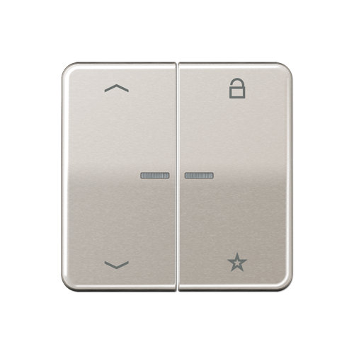  CD 500/CD plus Центральная плата универсальная «стрелки» платина Jung CD1701PPT