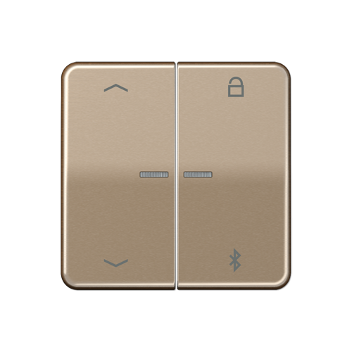  CD 500/CD plus Таймер универсальный Bluetooth «стрелки» бронза Jung CD1751PBTGB