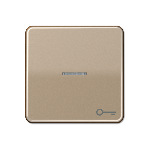  CD 500/CD plus Бронза Клавиша 1-я с/п с символом "КЛЮЧ" Jung CD590KO5TGB