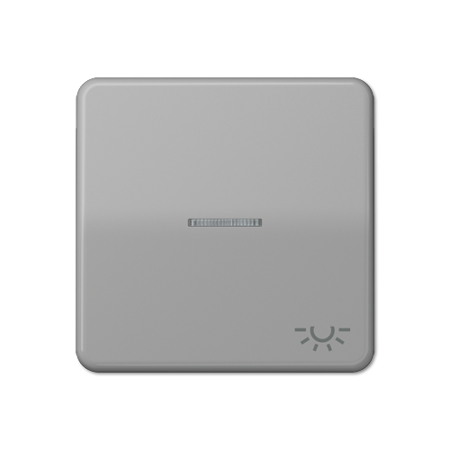  CD 500/CD plus Серый Клавиша 1-я с/п с символом "ОСВЕЩЕНИЕ" Jung CD590KO5LGR