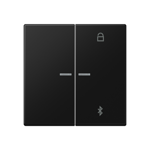  матовый чёрный графит Таймер универсальный Bluetooth Jung LS серия LS1751BTSWM