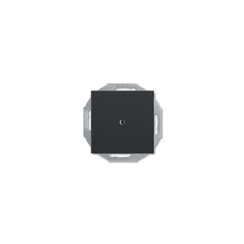  (2538-95-507), Заглушка с суппортом, серия Basic 55, цвет chateau-black, ABB 1715-0-0315