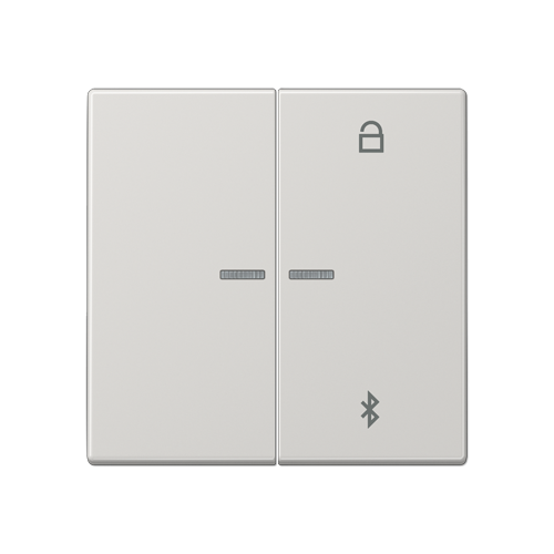  светло-серый Таймер универсальный Bluetooth Jung LS серия LS1751BTLG