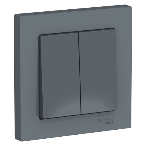  Atlasdesign 2-клавишный Выключатель, сх.5, 10АХ, в сборе, Грифель Schneider Electric ATN000752