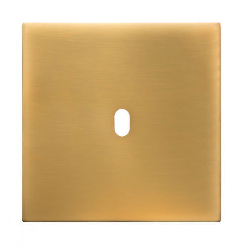  Fontini 5.1 Двойная панель для 2 немецких розеток,SATIN MATT GOLDEN,гор 90C32900