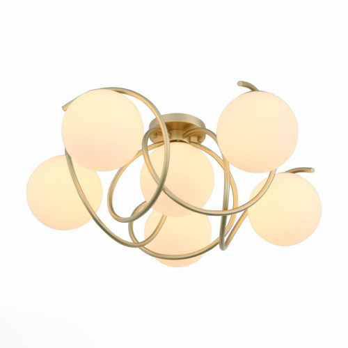 Люстра потолочная ST Luce Delicata SL711.202.06