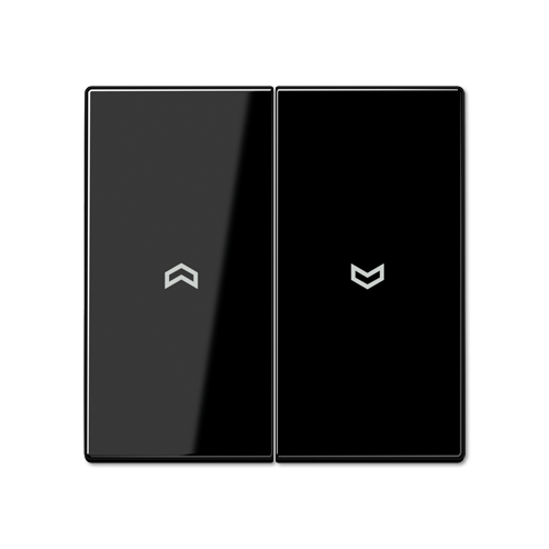  LS 990 Черный Клавиша 2-я жалюзийная Jung LS серия LS995PSW