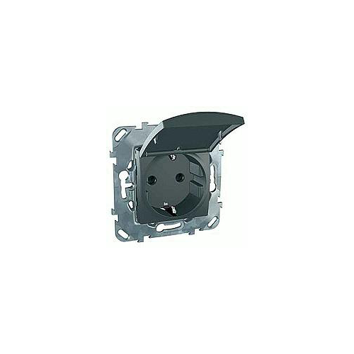 Розетка с з\к со шторками (винт. зажим) с крышкой, графит Schneider Electric MGU5.037.12TAZD