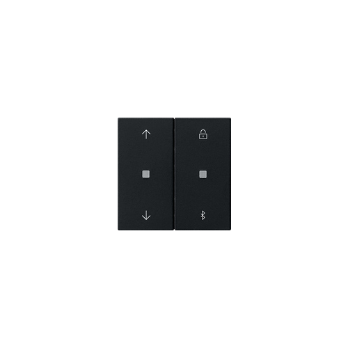  Таймер жалюзи и таймер BT System 3000 System 55 Чёрный матовый Gira 5367005