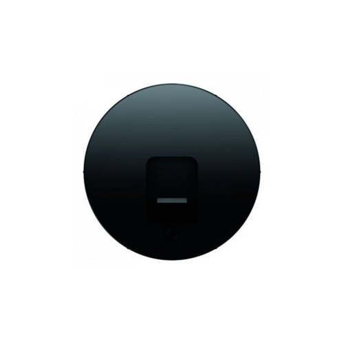  Центральная панель с заслонкой от пыли и полем для надписи, R.1, цвет: черный Berker 11702045