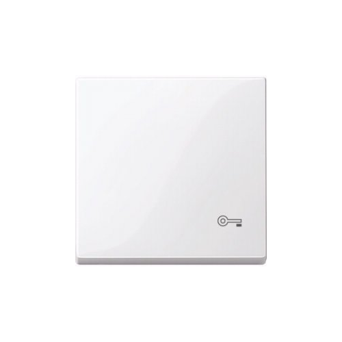  Клавиша с пиктограммой «ключ» акт-белый Merten MTN3303-0325