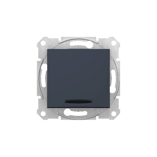  Выкл. с инд., графит Schneider Electric SDN0400370