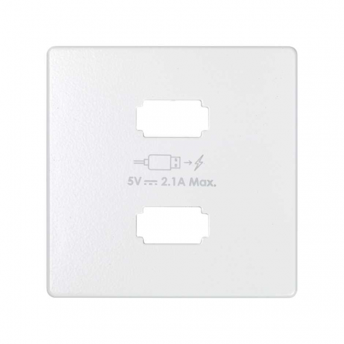 Накладка для зарядного устройства 2*USB, S82, S82N, S82 Detail, белый Simon 8211096-030