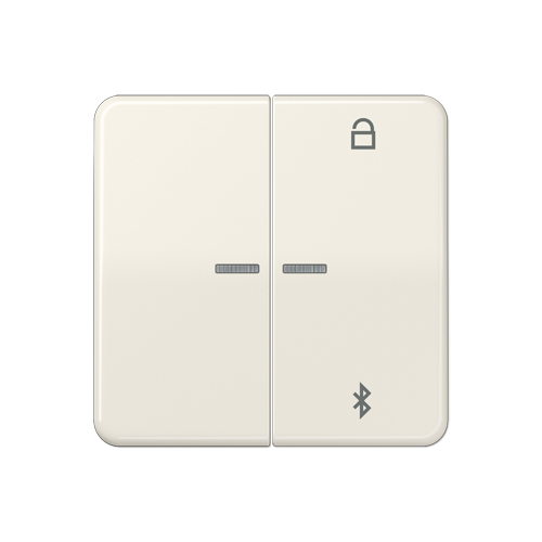  CD 500/CD plus Таймер универсальный Bluetooth слоновая кость Jung CD1751BT