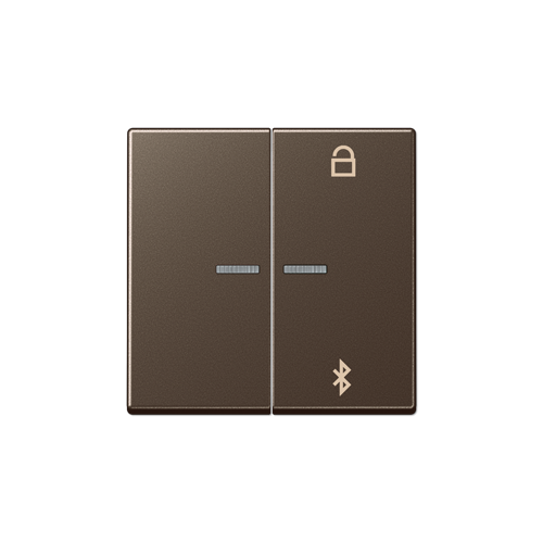  Таймер универсальный Bluetooth мокко Jung A серия A1751BTMO