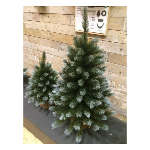 Ель Женева, 90 см, в мешочке, заснеженная 73065 Triumph Tree
