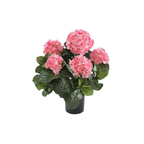 Гортензия куст большой в горшке, 55 см, розовый 20.6252PK Treez