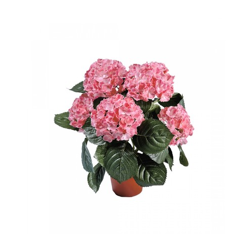 Гортензия куст в горшке, 35 см, розовый 20.6250PK Treez