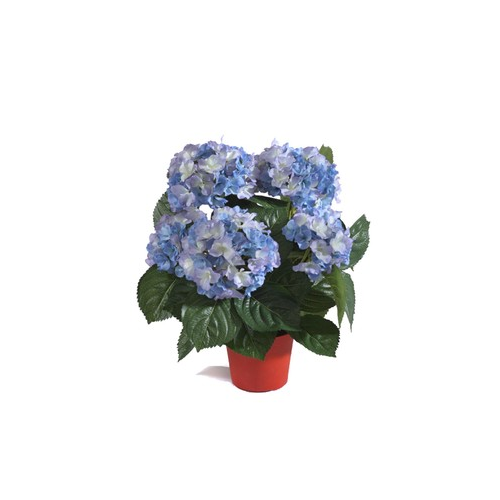 Гортензия куст в горшке, 35 см, темно-голубой 20.6250BL Treez