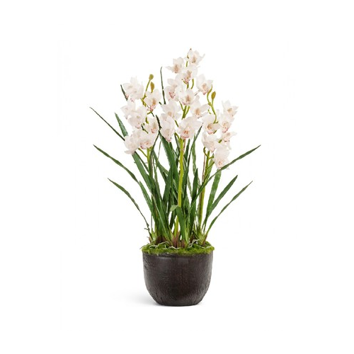 Орхидея Цимбидиум куст Sensitive Botanic, 3 ветки, белый, 115 см 20.0619233WH Treez