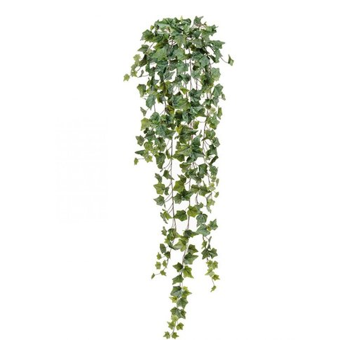 Английский плющ Олд Тэмпл Sensitive Botanic, 135 см, припыленно-зеленый 20.05170261GG-M Treez