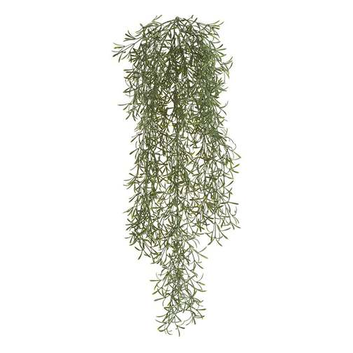 Аспарагус Шпренгера куст ампельный, 65 см, светло-серый припыленный 20.1422N Treez