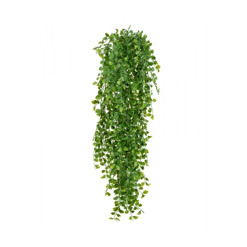 Каллизия куст ампельный, 70 см 20.1423N Treez