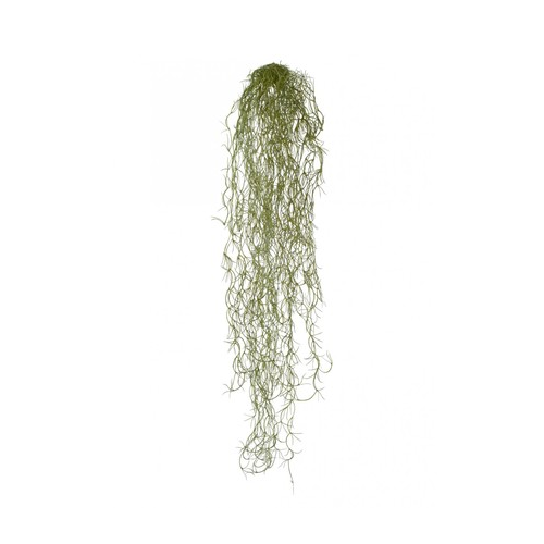 Тилландсия-паутинка Литл 70х12 см, серо-зеленая припыленная 20.091608 Treez