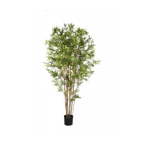 Бамбук Японский ориенталь, 120 см, зеленый 10.34304N Treez
