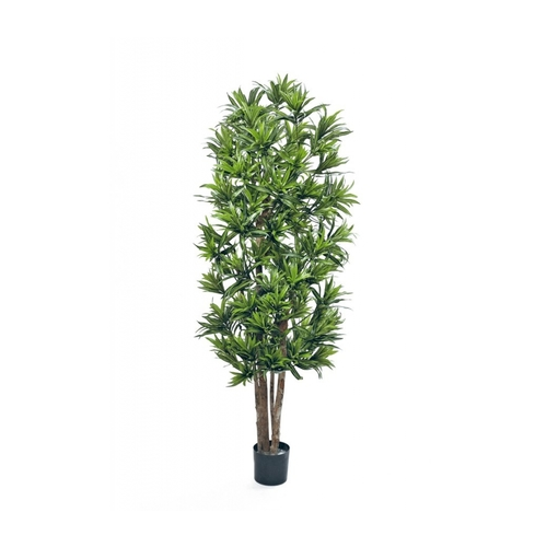 Драцена Рефлекса, 120 см, зеленая 10.36704N Treez