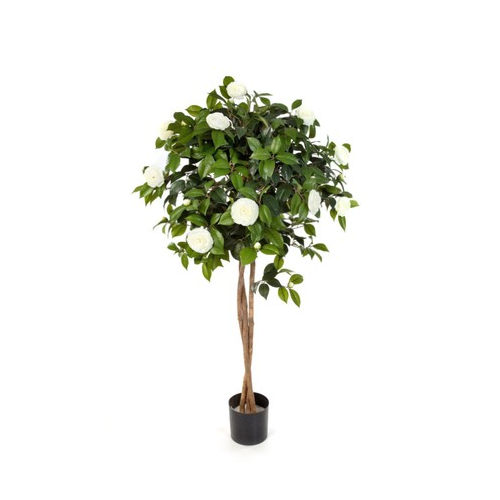 Камелия на штамбе, 130 см, кремовая 10.39304NW Treez