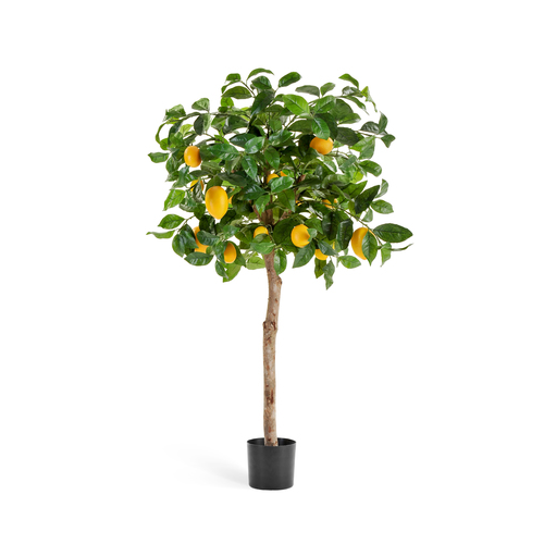 Лимонное дерево с плодами на штамбе, 110х50 см, зелено-желтое 10.59704N Treez