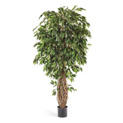 Фикус Лиана де люкс, 150 см, зеленый 10.31505N Treez