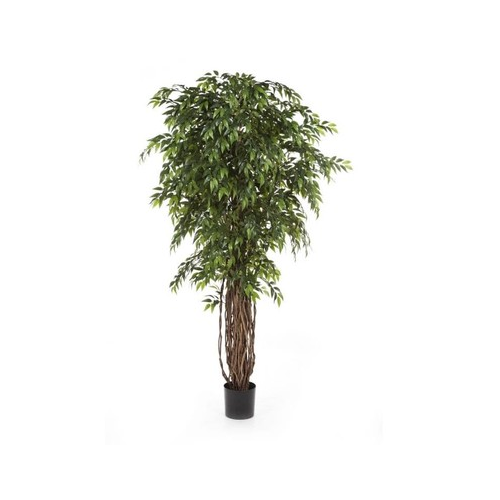 Фикус Лиана де люкс, 210 см, зеленый 10.31507N Treez