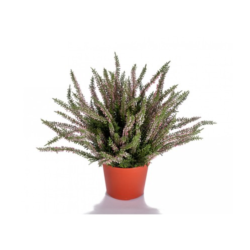 Эрика (вереск) куст большой в горшке, 35 см, нежно-розовый 20.5938N Treez