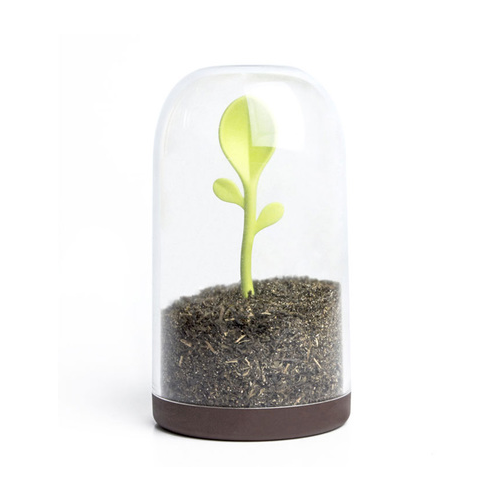 Контейнер для сыпучих продуктов с ложкой Sprout Jar, 9х16 см QL10205-BN Qualy