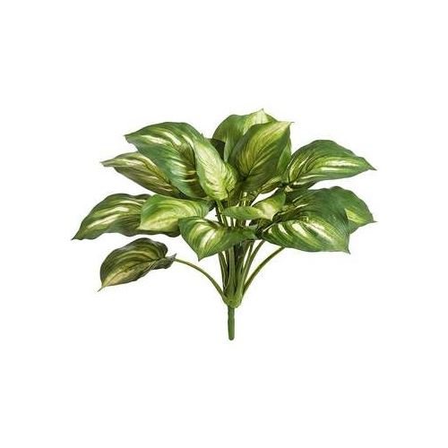 Хоста большая Sensitive Botanic, 60х40 см, бело-зеленая 20.1150GW Treez