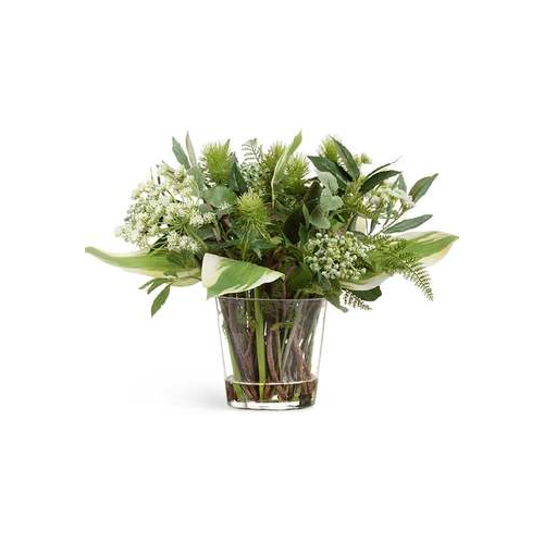 Композиция Green Lifestyle, 34х35 см, в стеклянной вазе 10.0618223GR Treez