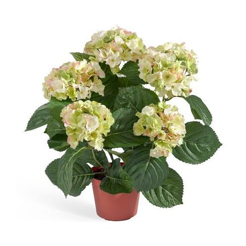 Гортензия куст в горшке, 35 см, кремово-зеленый 20.6250GR/CR Treez