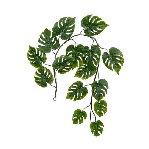 Монстера Giant лиана Sensitive Botanic, 240 см, зеленая 20.092234N Treez