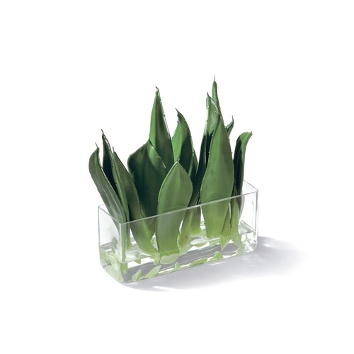 Композиция Sensitive Botanic Листы Алоэ, 30 см, в стеклянной вазе с водой 30.03070027 Treez